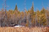 Sailing The High Trees_15132